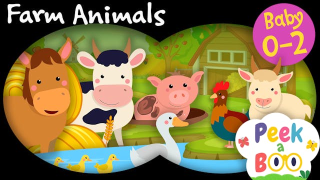 Farm Animals | Peek a Boo #4
