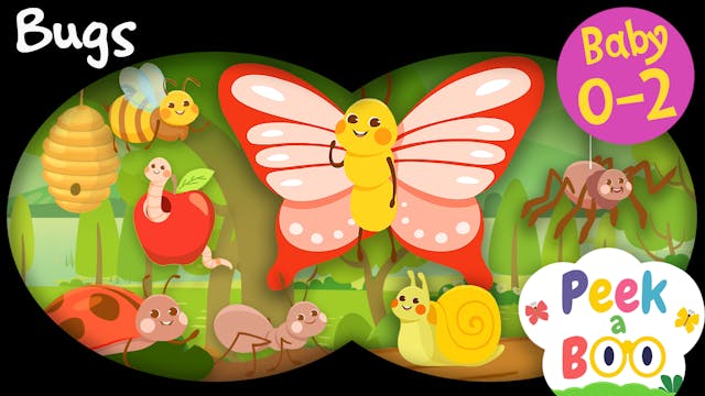 Bugs | Peek a Boo #6