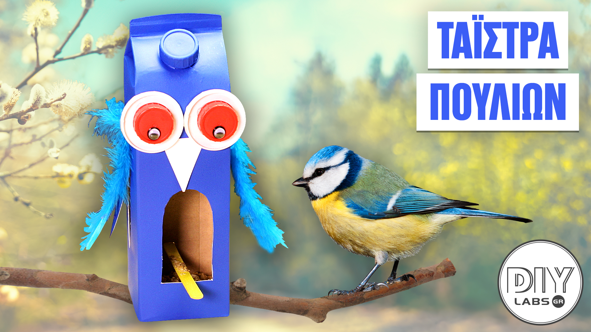 ΤΑΪΣΤΡΑ ΠΟΥΛΙΩΝ #DIYLabs