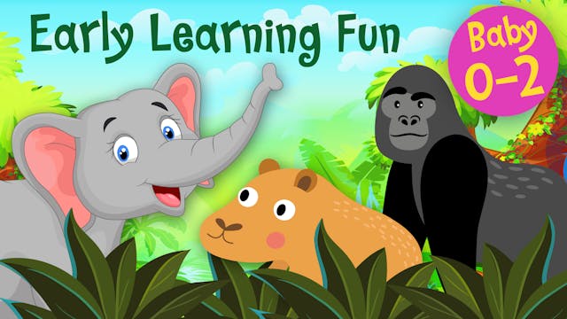 Jungle Animals Vol.3 | Early Learning...