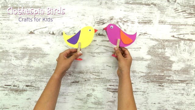 Birds | Clothespin Crafts