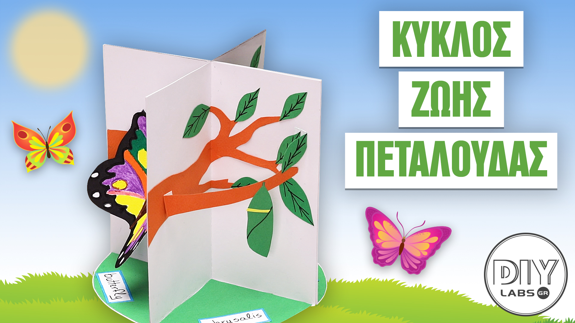 ΚΥΚΛΟΣ ΖΩΗΣ ΠΕΤΑΛΟΥΔΑΣ #DIYLabs