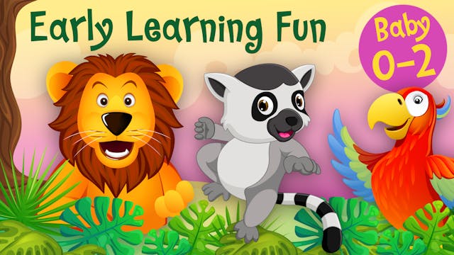Jungle Animals Vol.1 | Early Learning...