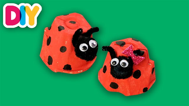 Ladybug | Egg carton