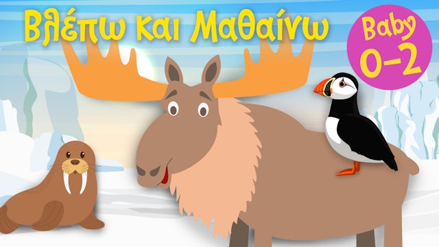 Τα Ζωάκια των Πόλων #2 | Βλέπω και Μαθαίνω