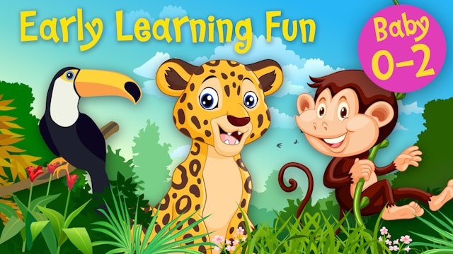 Jungle Animals Vol.2 | Early Learning Fun