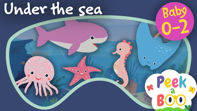 Under the sea | Peek a Boo #3