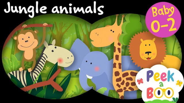 Jungle Animals | Peek a Boo #2