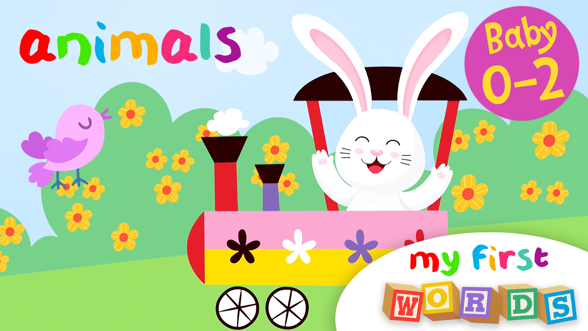 Animals | My First Words