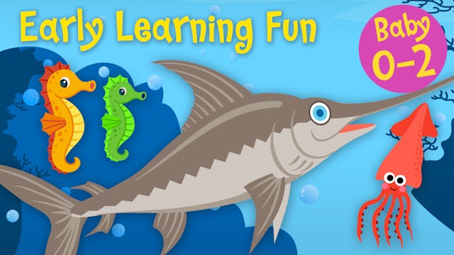 Sea Animals Vol.3 | Early Learning Fun