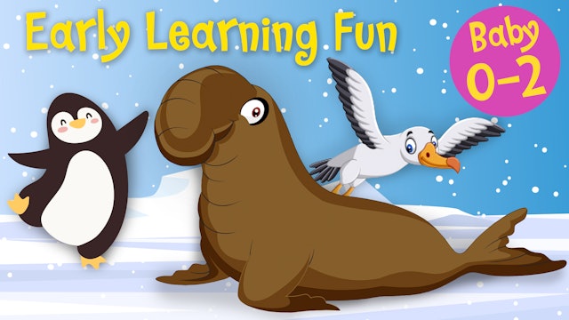 Polar Animals Vol.3 | Early Learning Fun