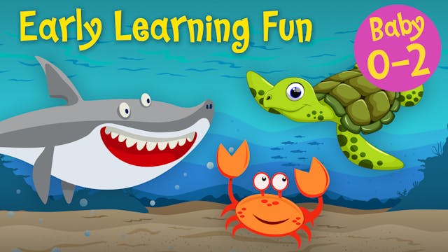 Sea Animals Vol.2 | Early Learning Fun