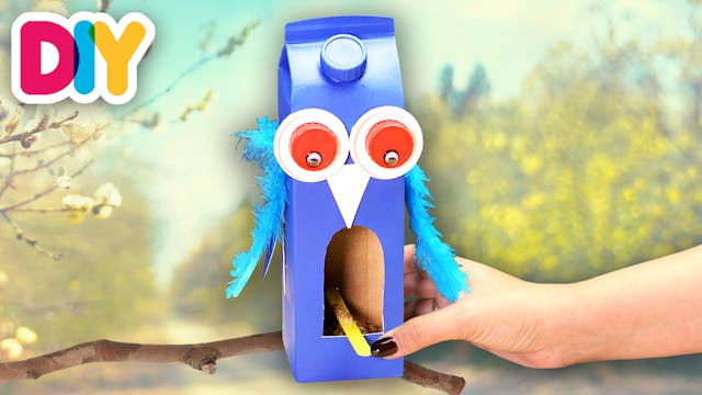 Bird Feeder | Recycled Milk Carton Craft