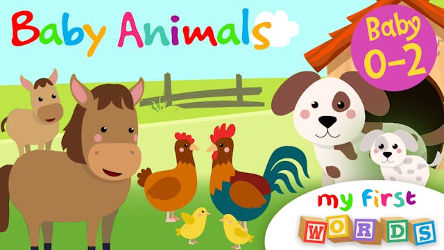 Baby Animals | My First Words