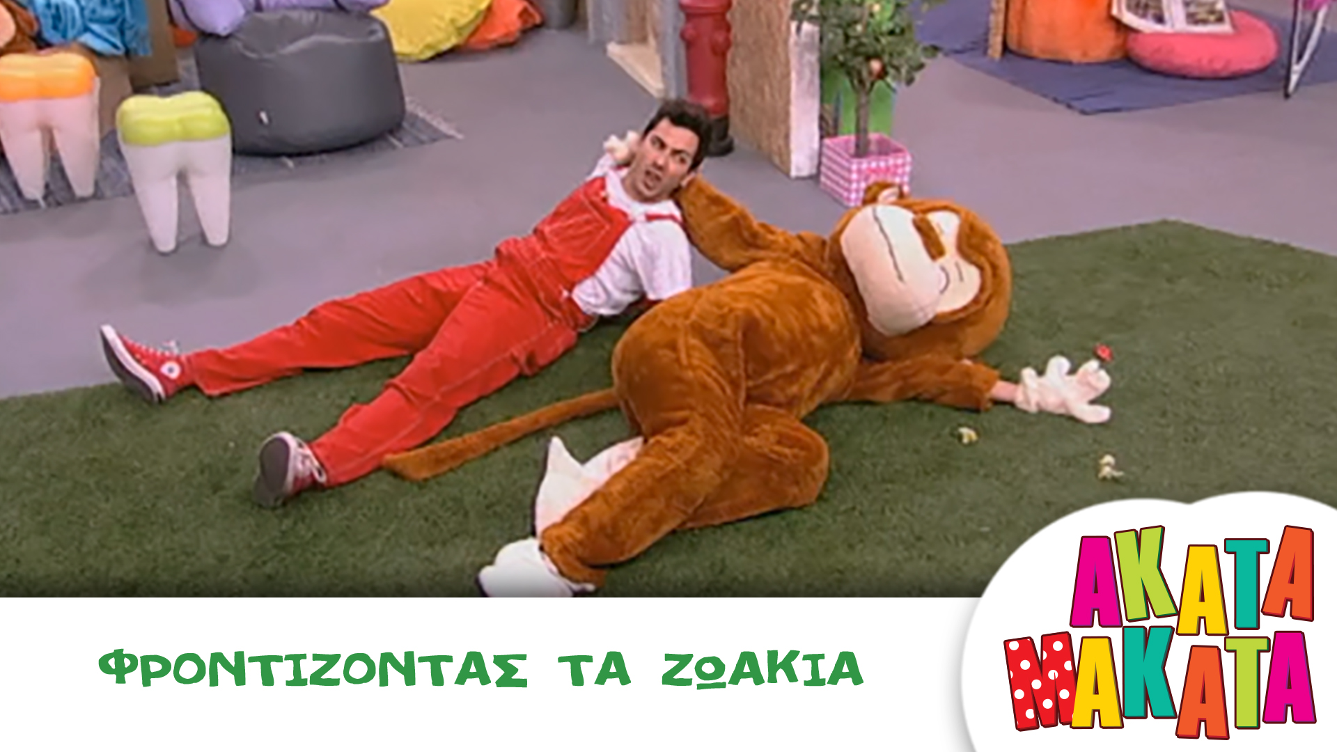 Φροντίζοντας τα Ζωάκια