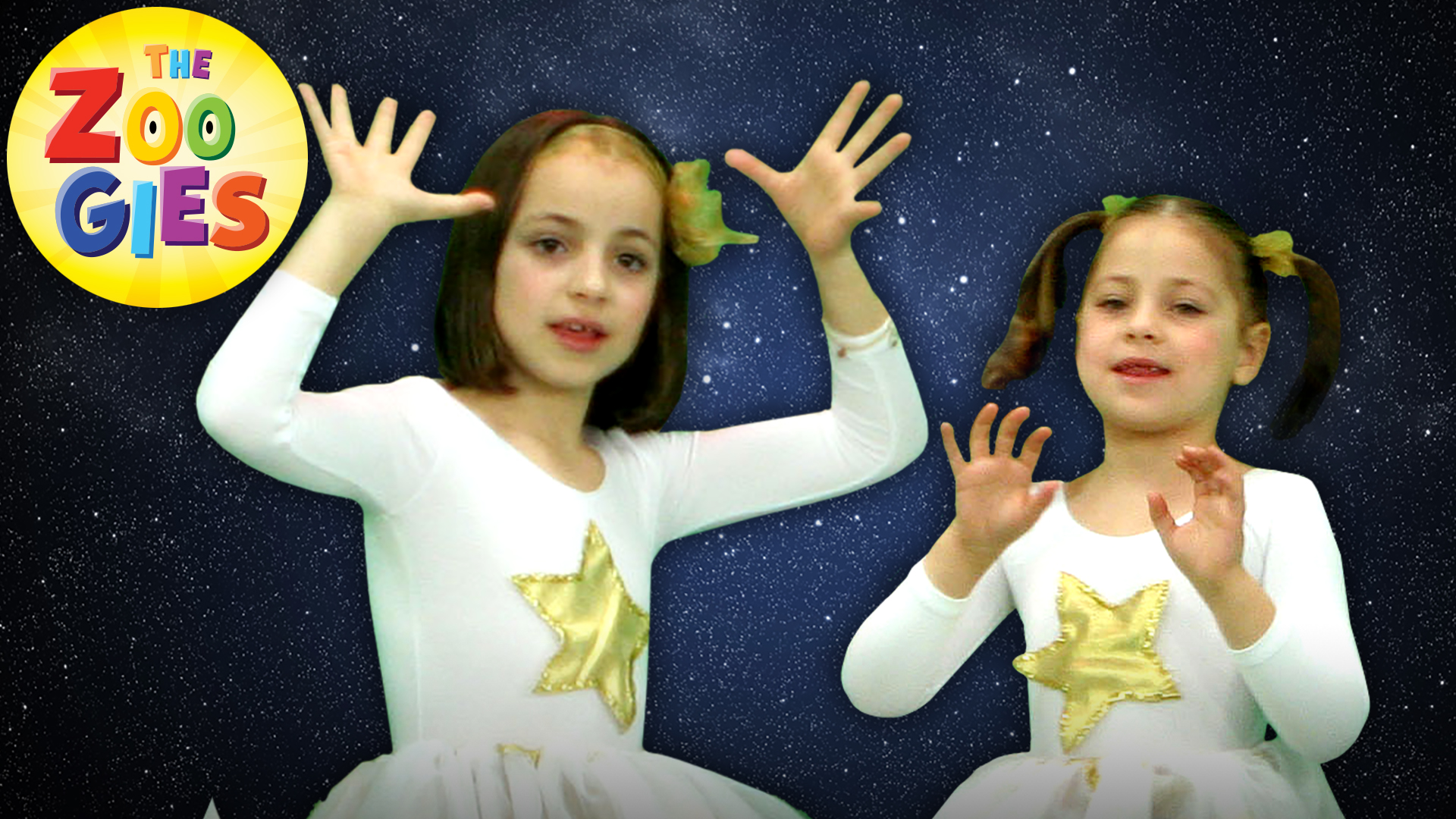 Twinkle Twinkle Little Star - The Zoogies