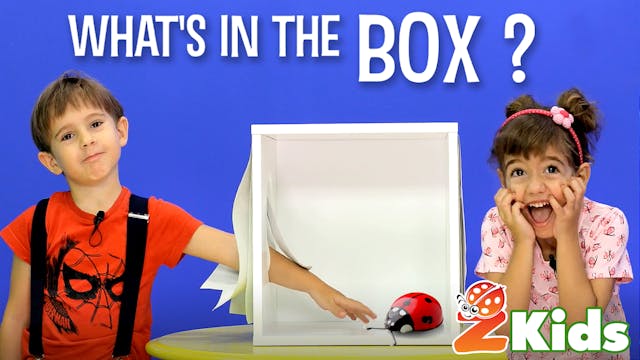 What's in the box | Επεισόδιο #1 | Πα...
