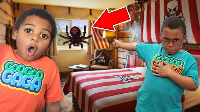 BIG SPIDER IN OUR LEGOLAND HOTEL ROOM...